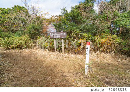 玄岳の登山道の分岐 玄岳の登山道の分岐 72048338
