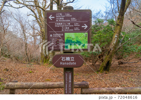 石楠立(天城山) 石楠立(天城山) 72048616