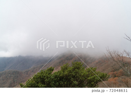 ガスで覆われた万三郎岳と馬の背（天城山） 72048631