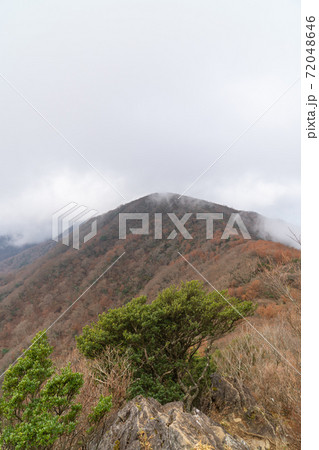 ガスで覆われた万三郎岳と馬の背(天城山) ガスで覆われた万三郎岳と馬の背(天城山) 72048646