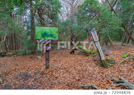 涸沢分岐(天城山) 涸沢分岐(天城山) 72048856