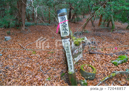 涸沢分岐（天城山） 72048857