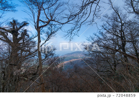 万三郎岳から涸沢分岐への登山道から見た景色（天城山） 72048859