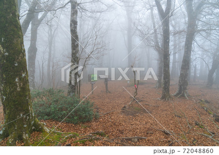 ガスで覆われた登山道（天城山） 72048860