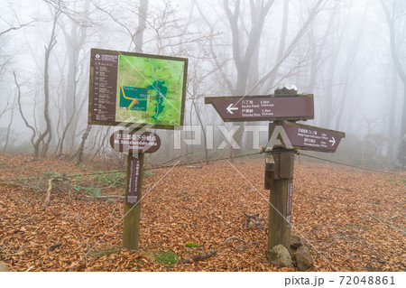 ガスで覆われた万三郎岳下の分岐（天城山） 72048861