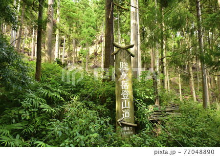 滋賀県長浜市 賤ヶ岳登山道 滋賀県長浜市 賤ヶ岳登山道 72048890