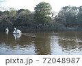 井の頭公園 72048987