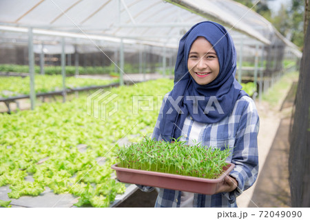 new life of a plant new life of a plant 72049090