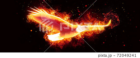 抽象的な火の鳥 72049241