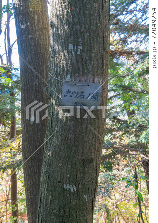 六ツ石山の山頂（飯能アルプス） 72049254