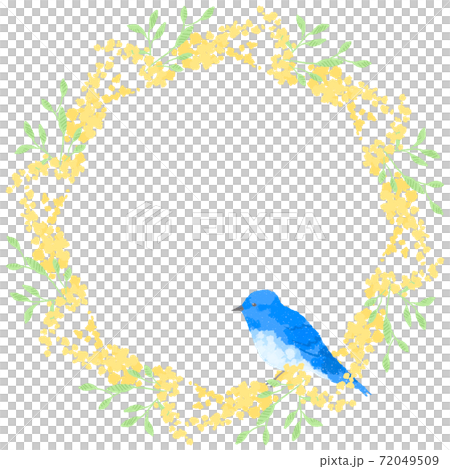 優しいタッチの幸せを運ぶ青い鳥とミモザリースイラスト 72049509