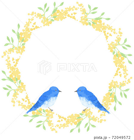 優しいタッチの幸せを運ぶ青い鳥とミモザリースイラストのイラスト素材