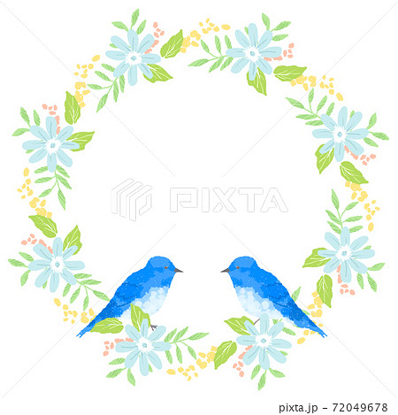Blue Bird And Mimosa Wreath Illustration Stock Illustration