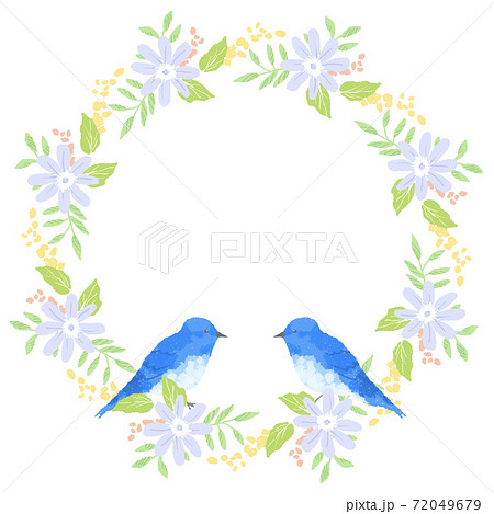 優しいタッチの幸せを運ぶ青い鳥とミモザリースイラストのイラスト素材