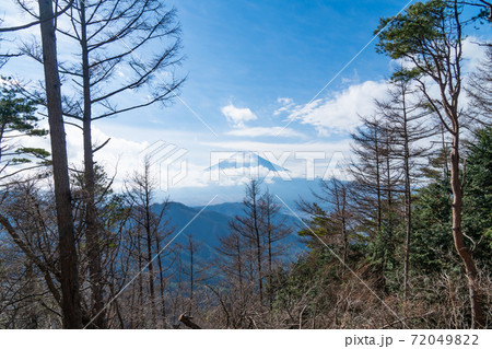 倉見山の登山道から見た富士山 倉見山の登山道から見た富士山 72049822