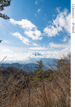 倉見山の見晴台から見た富士山 倉見山の見晴台から見た富士山 72049831