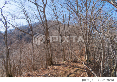 登山道から見た倉見山の山頂 72049848