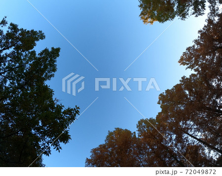 秋の紅葉の空 秋の紅葉の空 72049872