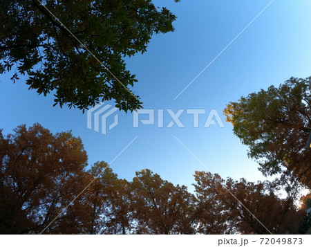 秋の紅葉の空 72049873