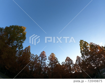 秋の紅葉の空 72049875