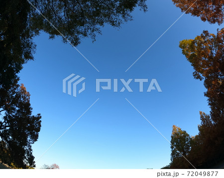 秋の紅葉の空 72049877