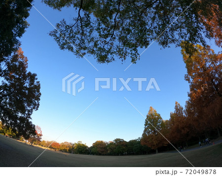 秋の紅葉の空 72049878