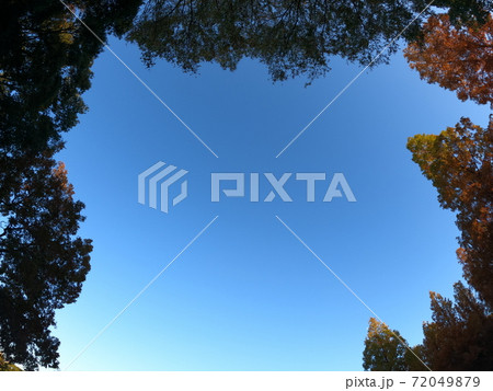 秋の紅葉の空 秋の紅葉の空 72049879