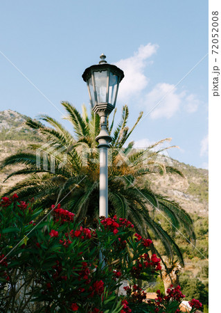 Street lamp on a high metal pole against the backdrop of mountains in the colors of oleander. 72052008