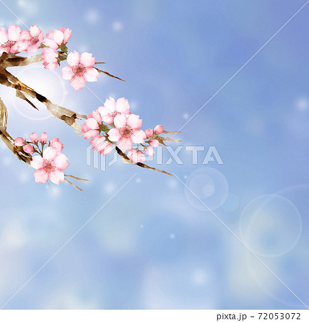 水彩の桜の木 青空背景のイラスト素材