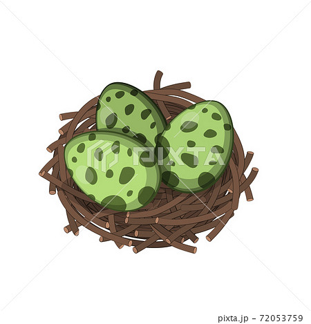Dinosaurs nest with eggs in isometric style. Isolated image of jurassic monsters 72053759