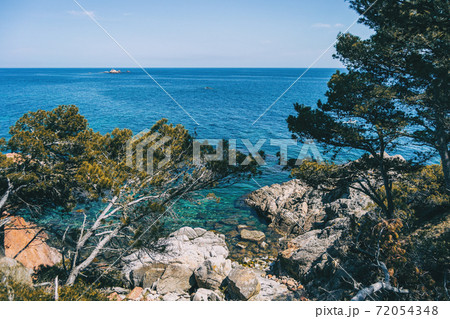 Seascape with views of a small rocky cove surrounded by a grove Seascape with views of a small rocky cove surrounded by a grove 72054348