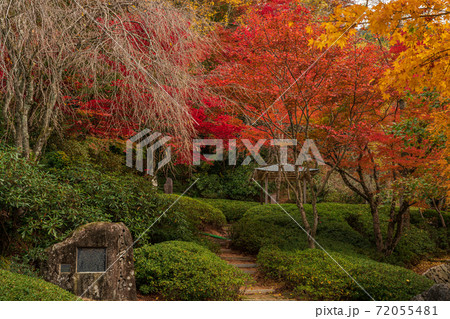 英彦山 英彦山 72055481