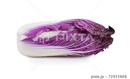 purple chinese cabbage on white background purple chinese cabbage on white background 72055668