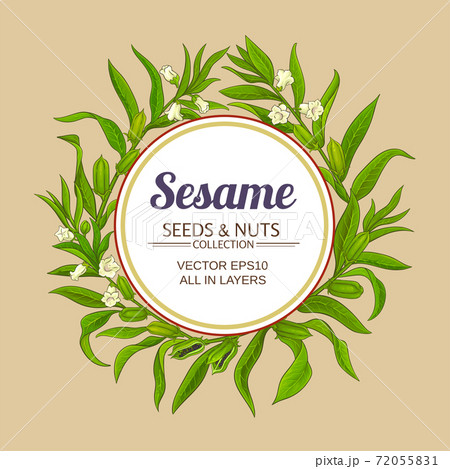 sesame vector frame 72055831