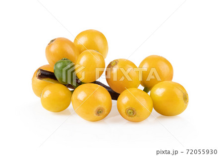 fresh yellow coffee beans isolated on white background fresh yellow coffee beans isolated on white background 72055930
