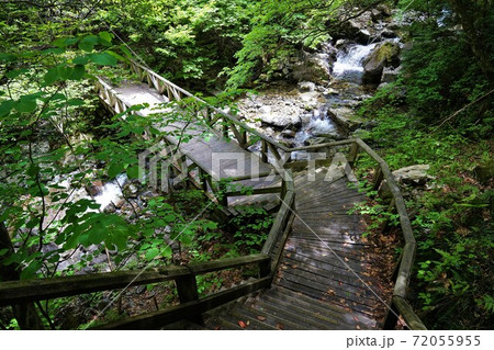 小秀山乙女渓谷の木道と沢 小秀山乙女渓谷の木道と沢 72055955