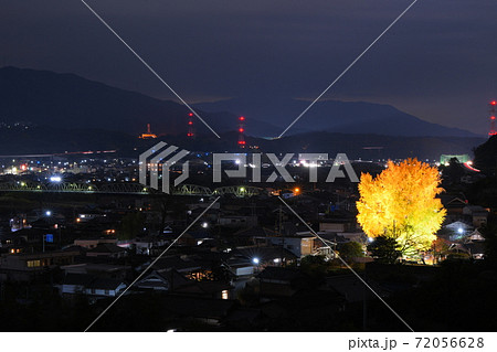 丹生酒殿神社 丹生酒殿神社 72056628