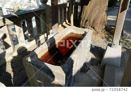 元町嚴島神社 手水舎 元町嚴島神社 手水舎 72058742