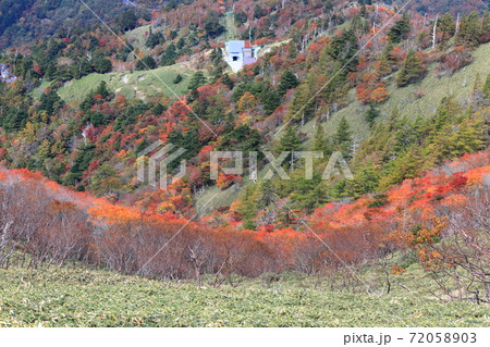 剣山　リフト西島駅　紅葉　（徳島県） 72058903