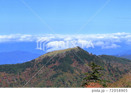 丸笹山 笹に覆われたなだらかな山頂 紅葉 丸笹山 笹に覆われたなだらかな山頂 紅葉 72058905
