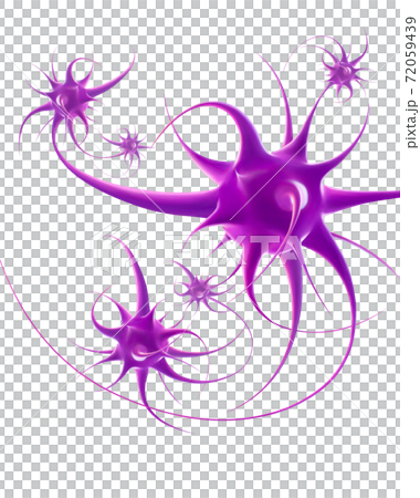 神經元腦神經網絡結構圖 神經元腦神經網絡結構圖 72059439