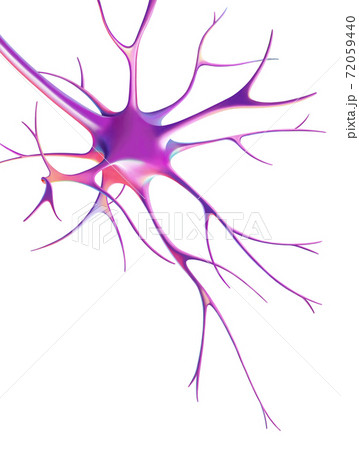 見よ ネットワーク アート 72059440