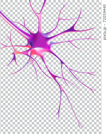 神經元腦神經網絡結構圖 神經元腦神經網絡結構圖 72059440