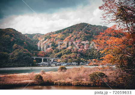 丹波 紅葉 丹波 紅葉 72059633