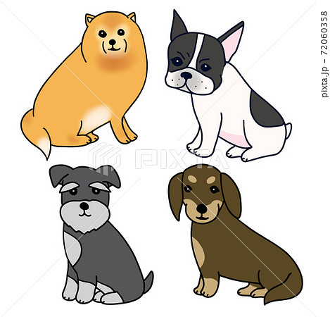 4種類の小型犬 72060358