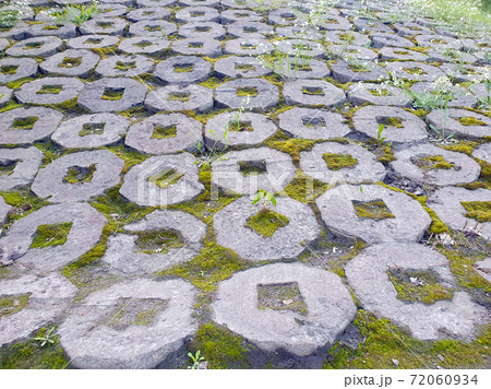ornamental cement pattern with moss and leaves in it. Background stone block walk path in the park with green grass, moss 72060934