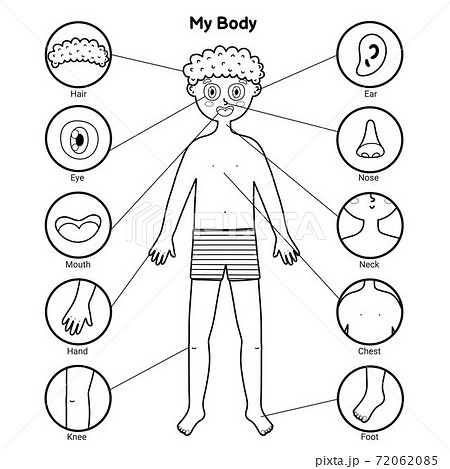 My body parts black and white educational poster with a boy. Learning human body for school 72062085