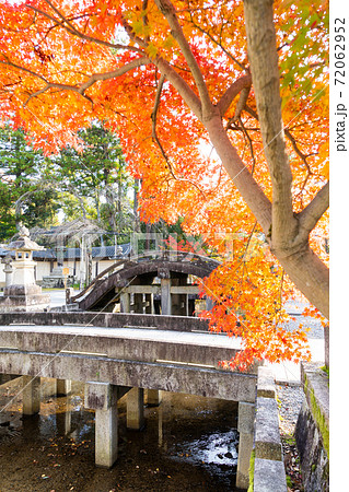 【滋賀県】　多賀大社 72062952
