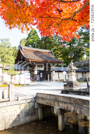 【滋賀県】 多賀大社 【滋賀県】 多賀大社 72062956