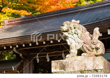 【滋賀県】　多賀大社 72063178